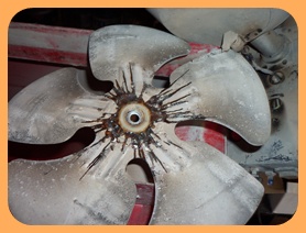 HŐLÉGFÚVÓ SZERVIZ TERASZFŰTŐ SZERVIZ  Bármilyen típusú MOBIL HŐLÉGFÚVÓ és TERASZFŰTŐ javítása! Akár 24 órán belül is! 0036-24-450037